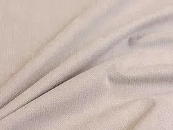 Fernando (camel)